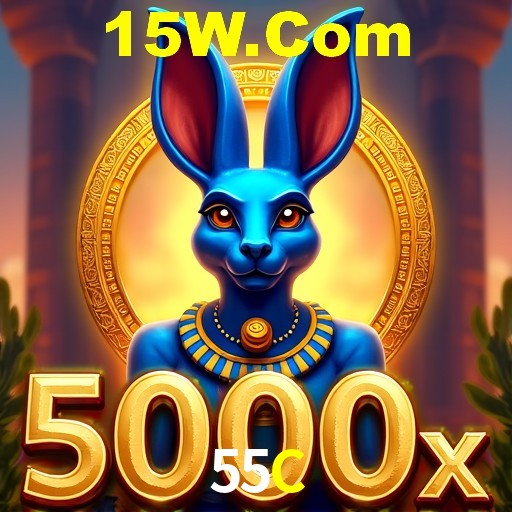 Login Seguro 55C
